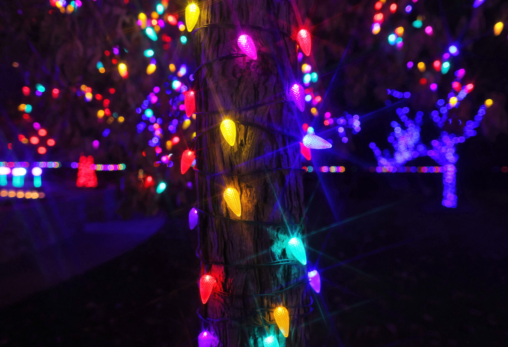 SOWI_231124_JVG_LIGHTS12.JPG
